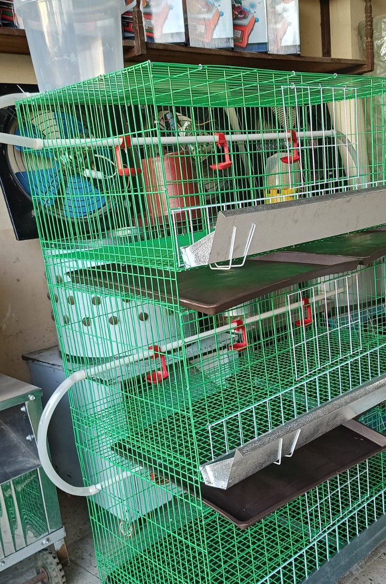 بطارية 4 أدوار خضراء