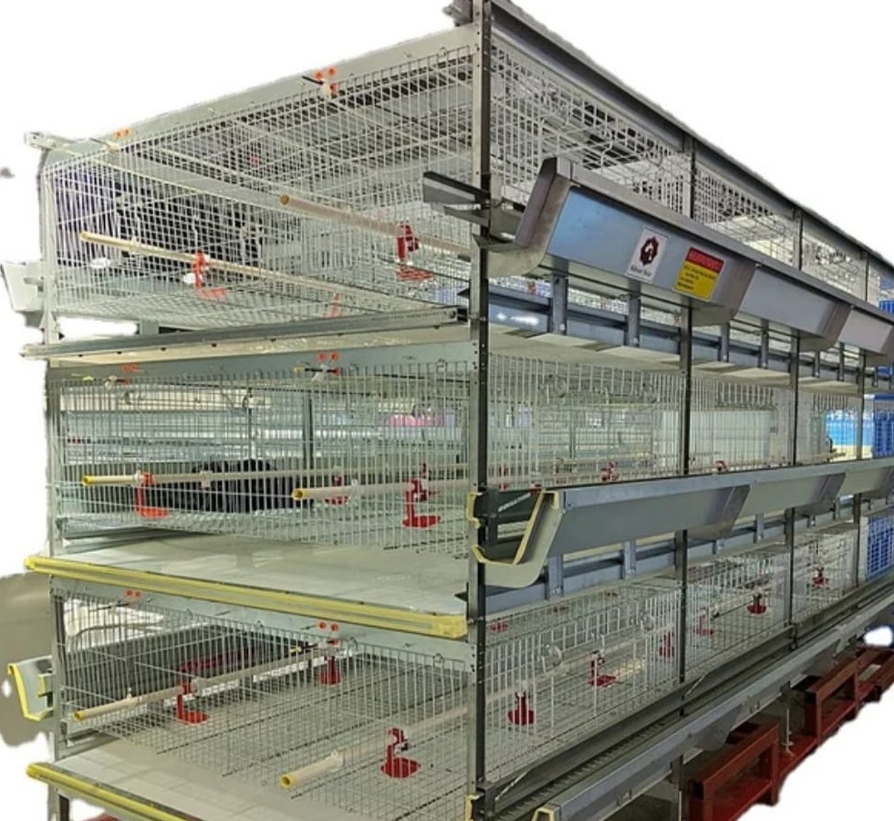 بطاريات تربية الدجاج