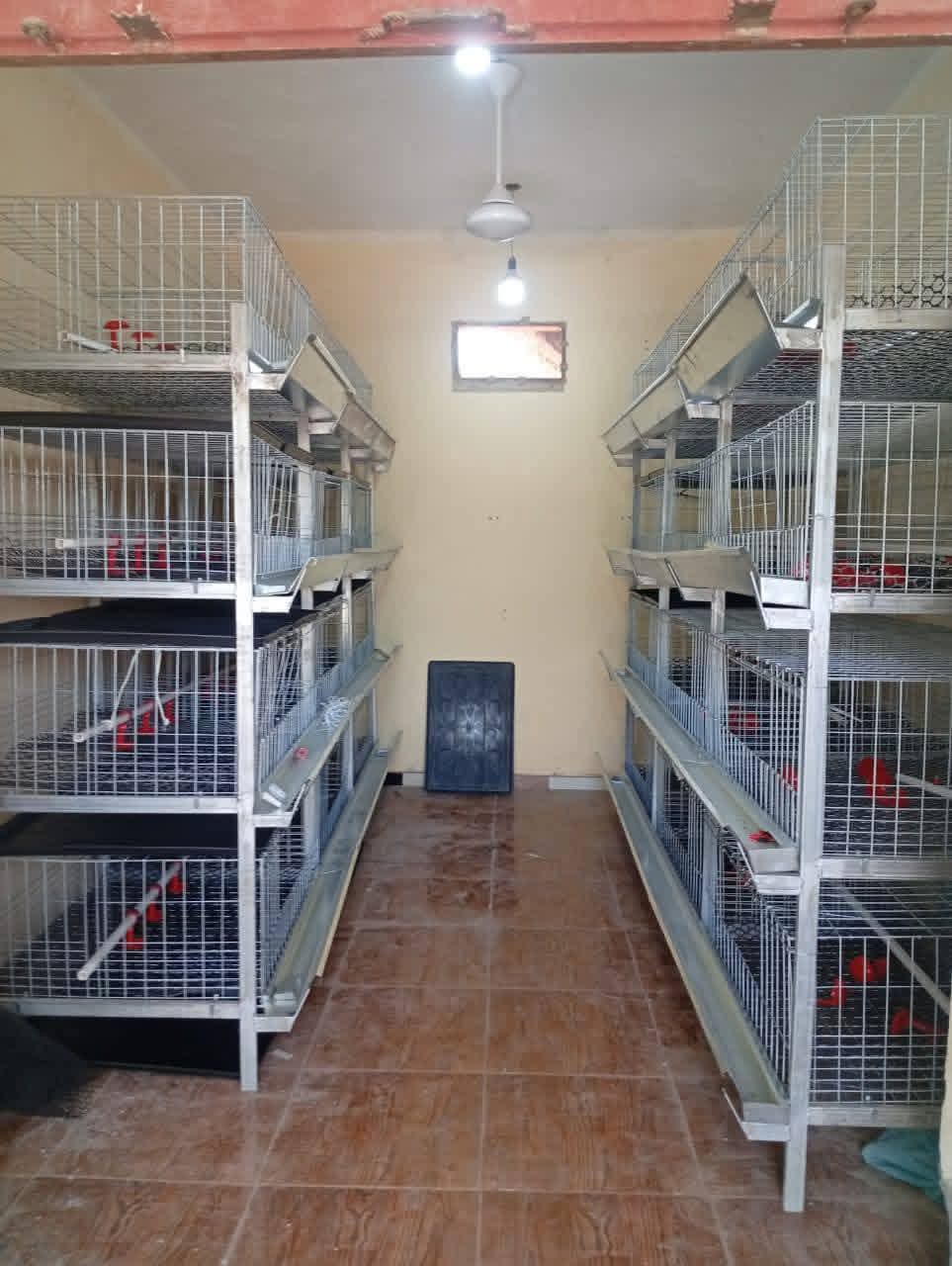 بطاريات مركبة داخل غرفة تربية