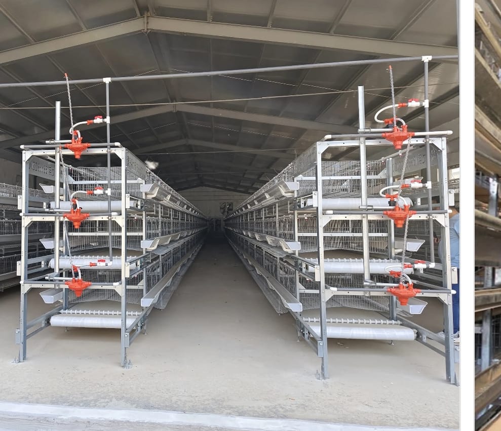 صفوف بطاريات مركبة داخل عنبر