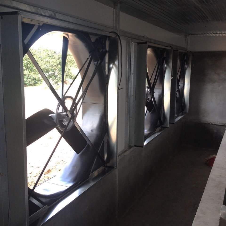 شفاطات تهوية مثبتة داخل مزرعة دواجن