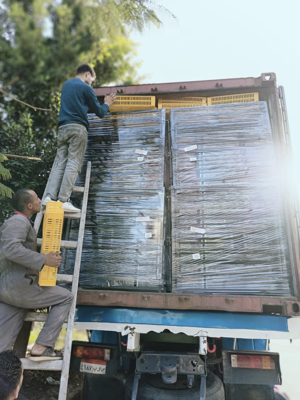 أقسام إضافية