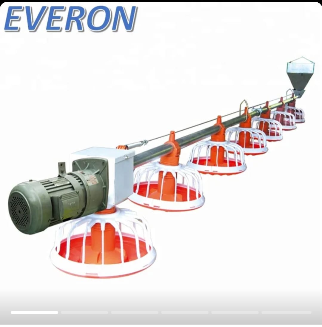 أنظمة التغذية