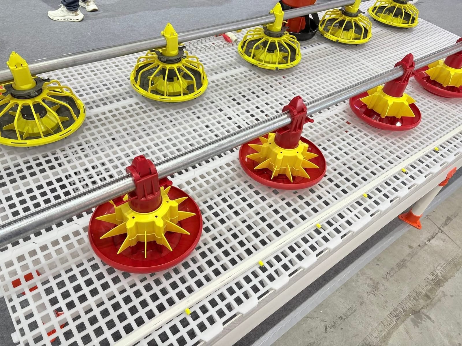 أنظمة التغذية