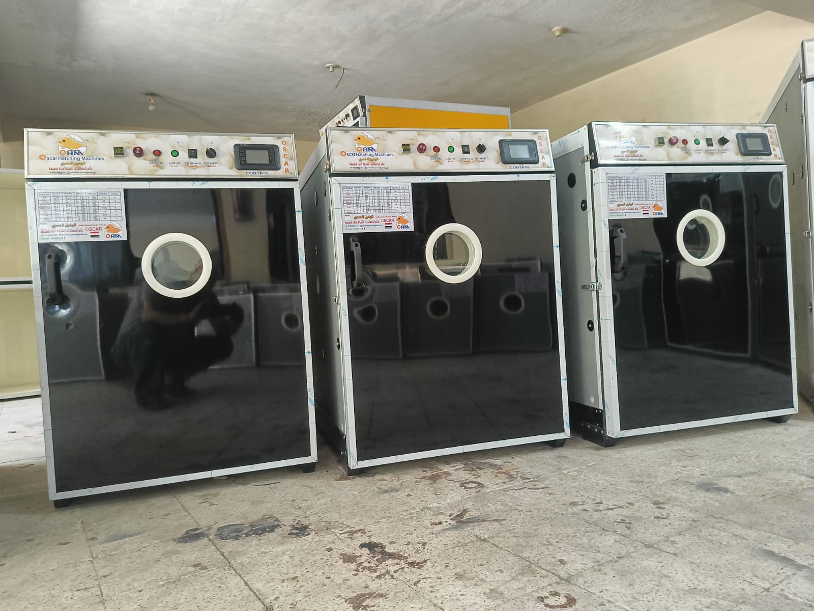 موديلات تفريخ بألوان مختلفة