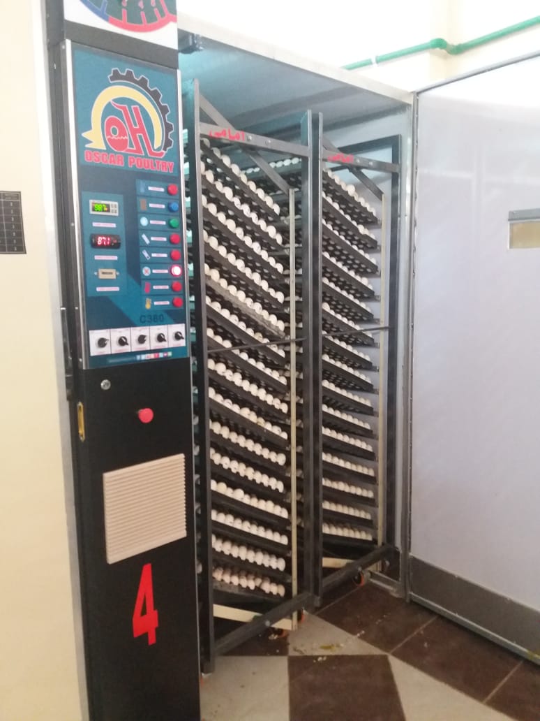 ماكينة تفريخ من الداخل