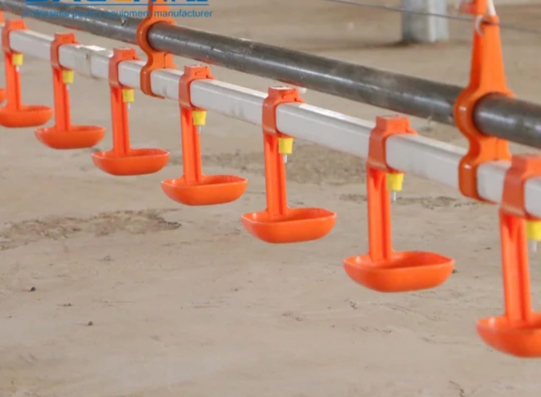 أنظمة الشرب